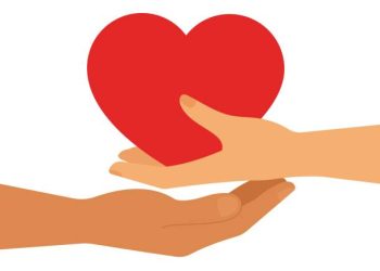 Therapeutic Benefits of Having Comfort Objects