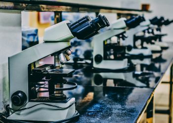 Exploring the Wonders of Worldwidesciencestories