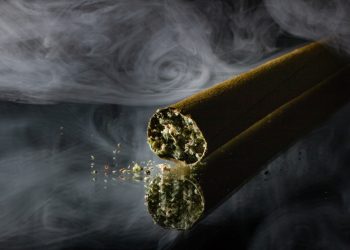 How Jay’s Blunts Enhance Your Smoking Sessions