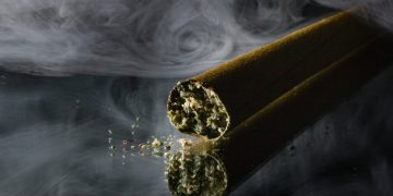 How Jay’s Blunts Enhance Your Smoking Sessions