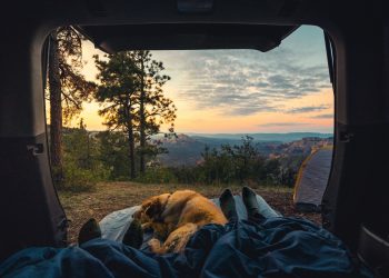 Everything You Need to Know About Dog Friendly Glamping