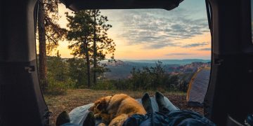 Everything You Need to Know About Dog Friendly Glamping