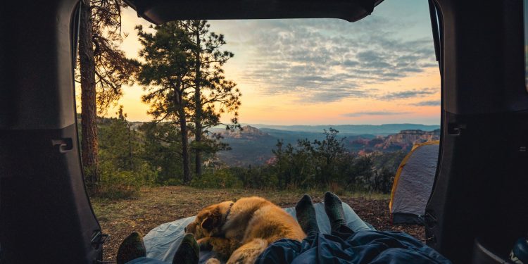 Everything You Need to Know About Dog Friendly Glamping