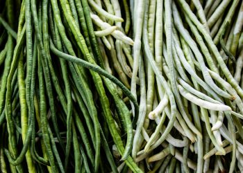 Is a Green Bean a Fruit?