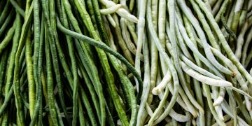 Is a Green Bean a Fruit?