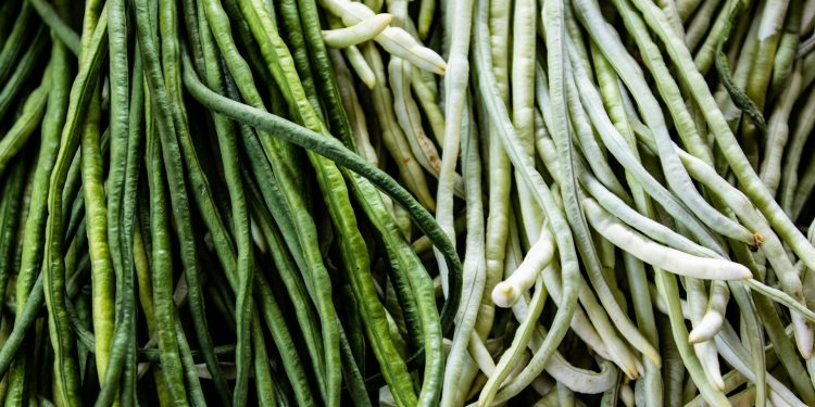 Is a Green Bean a Fruit?